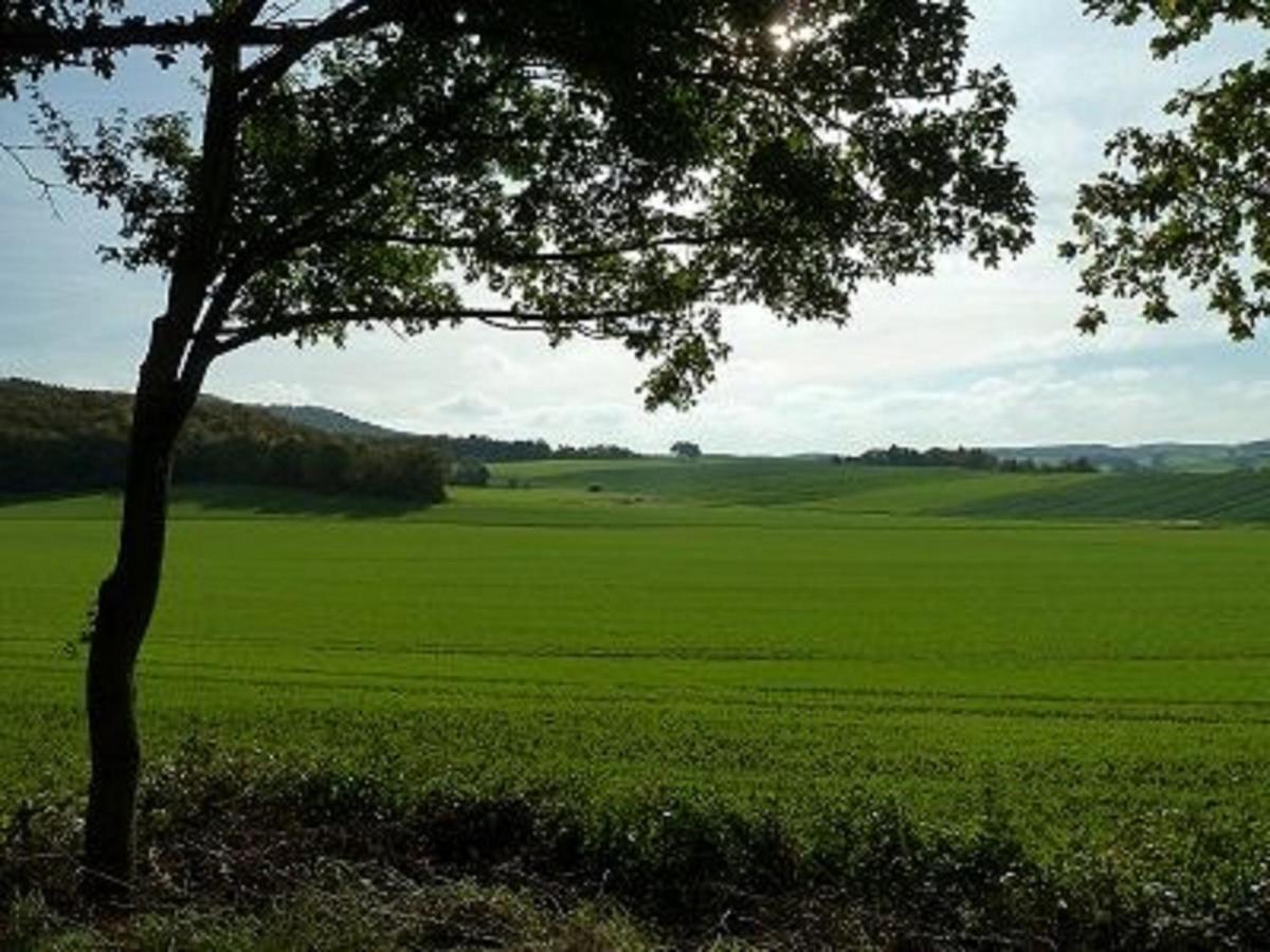Vila Feriendorf Sulzfeld Sulzfeld  Exteriér fotografie